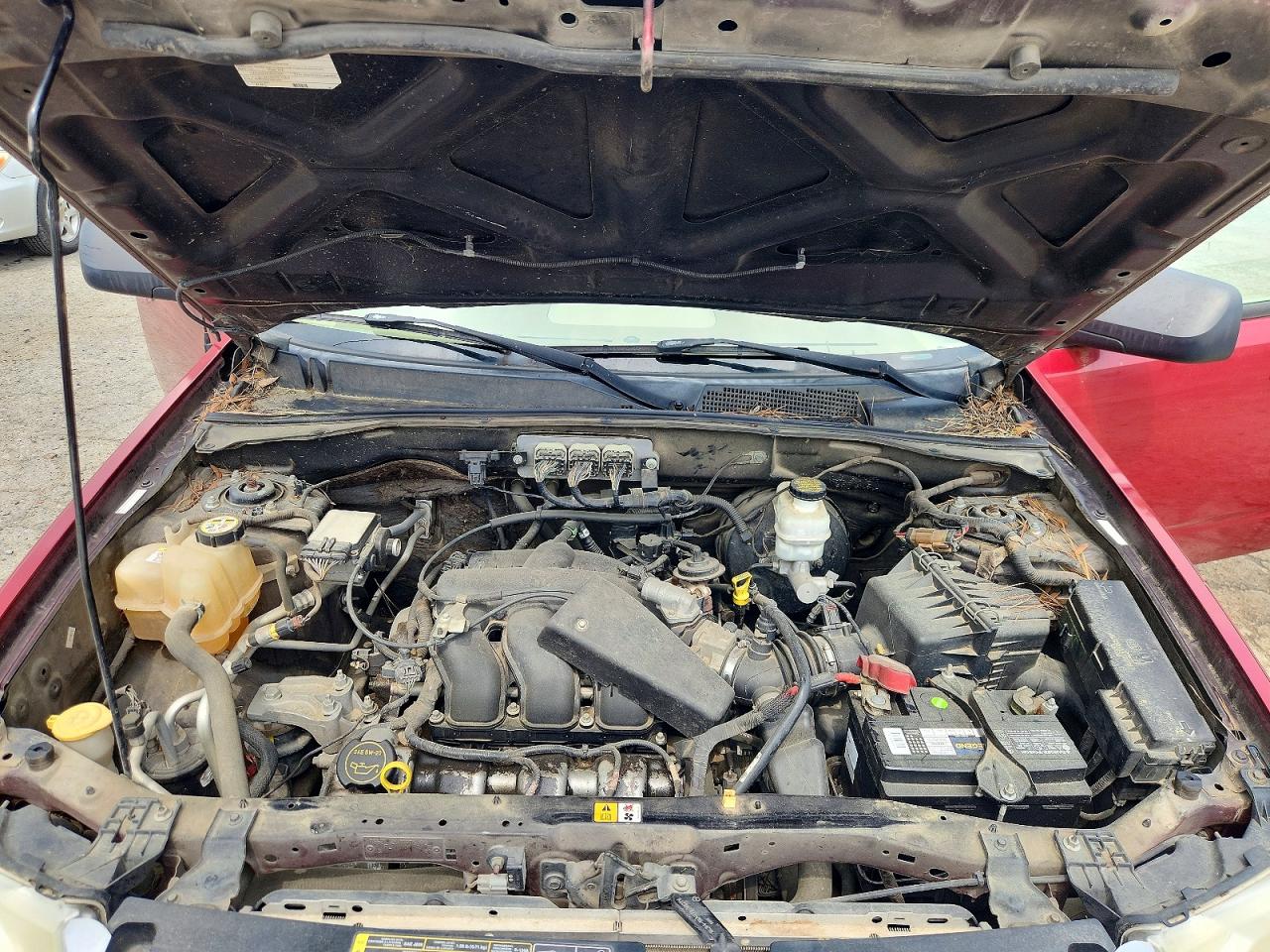 Ford Escape Xlt