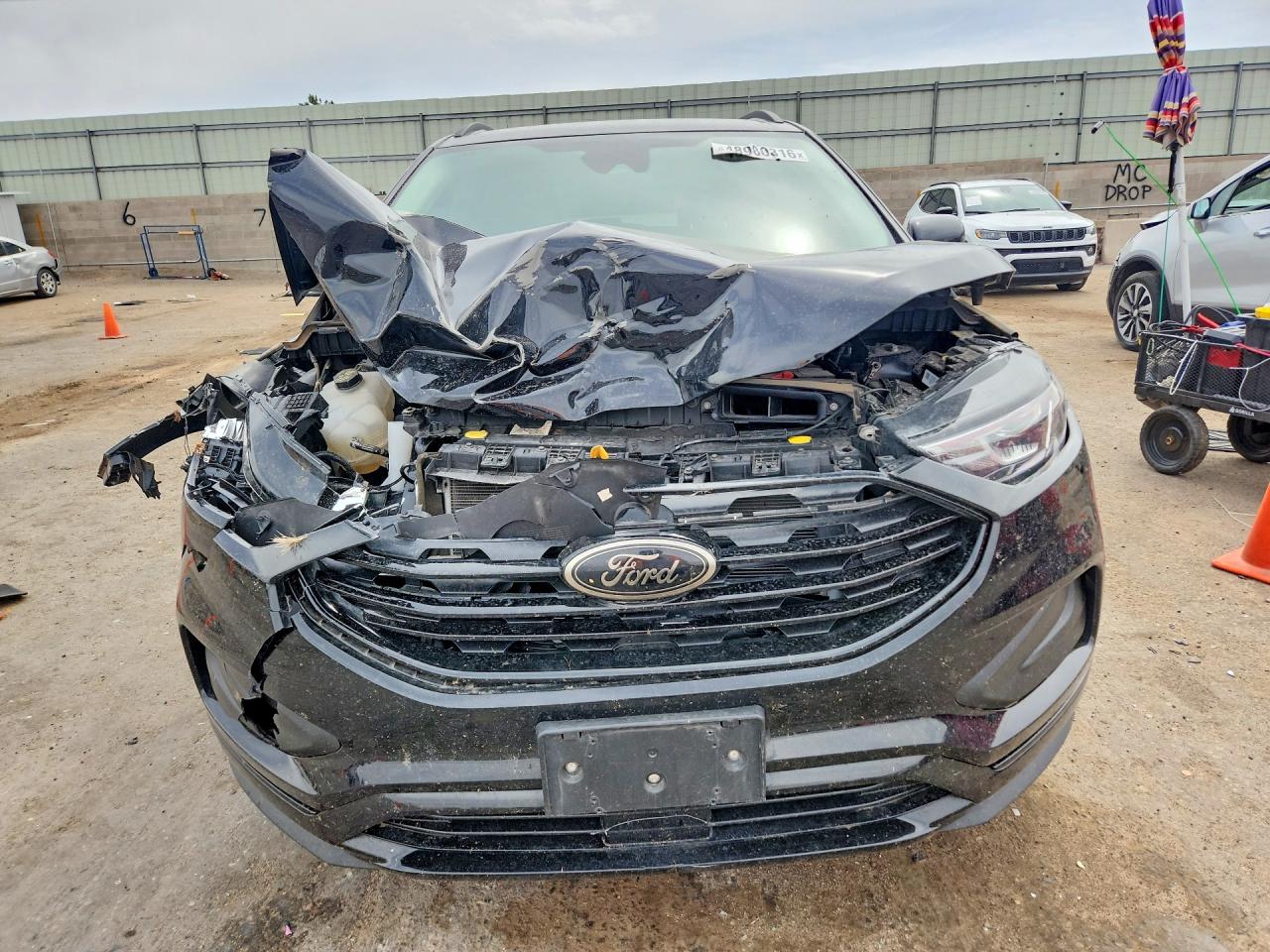 Ford Edge Se