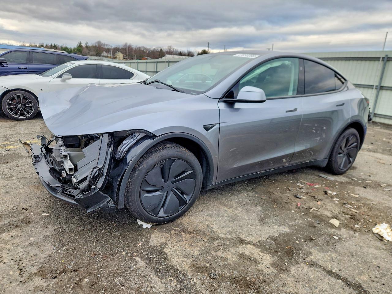 Salvage Tesla Model Y Image