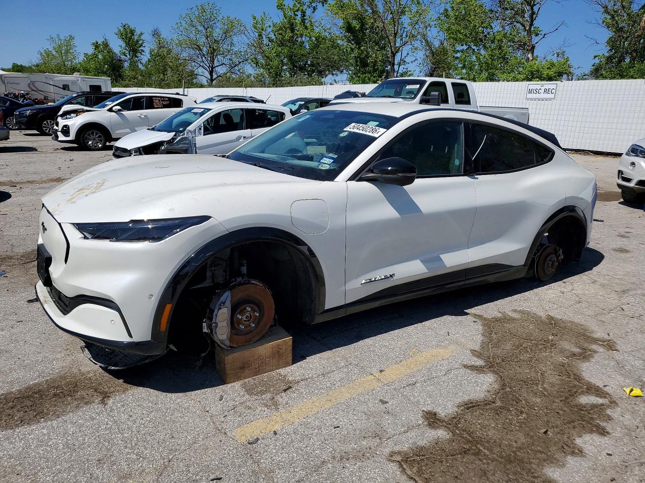 Salvage Ford Mustang Image