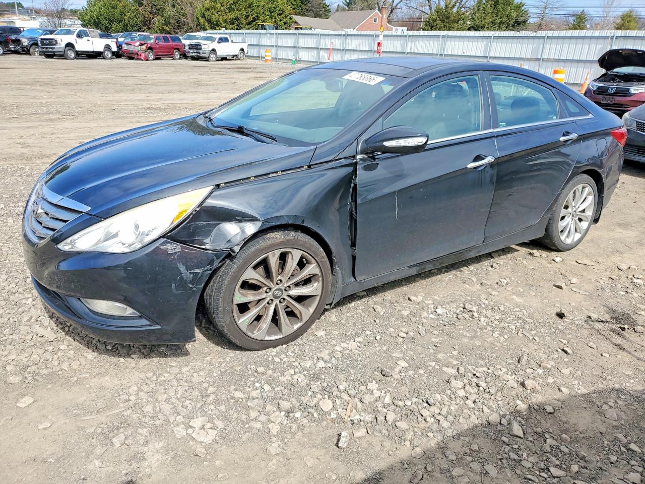 Salvage Hyundai SONATA Image