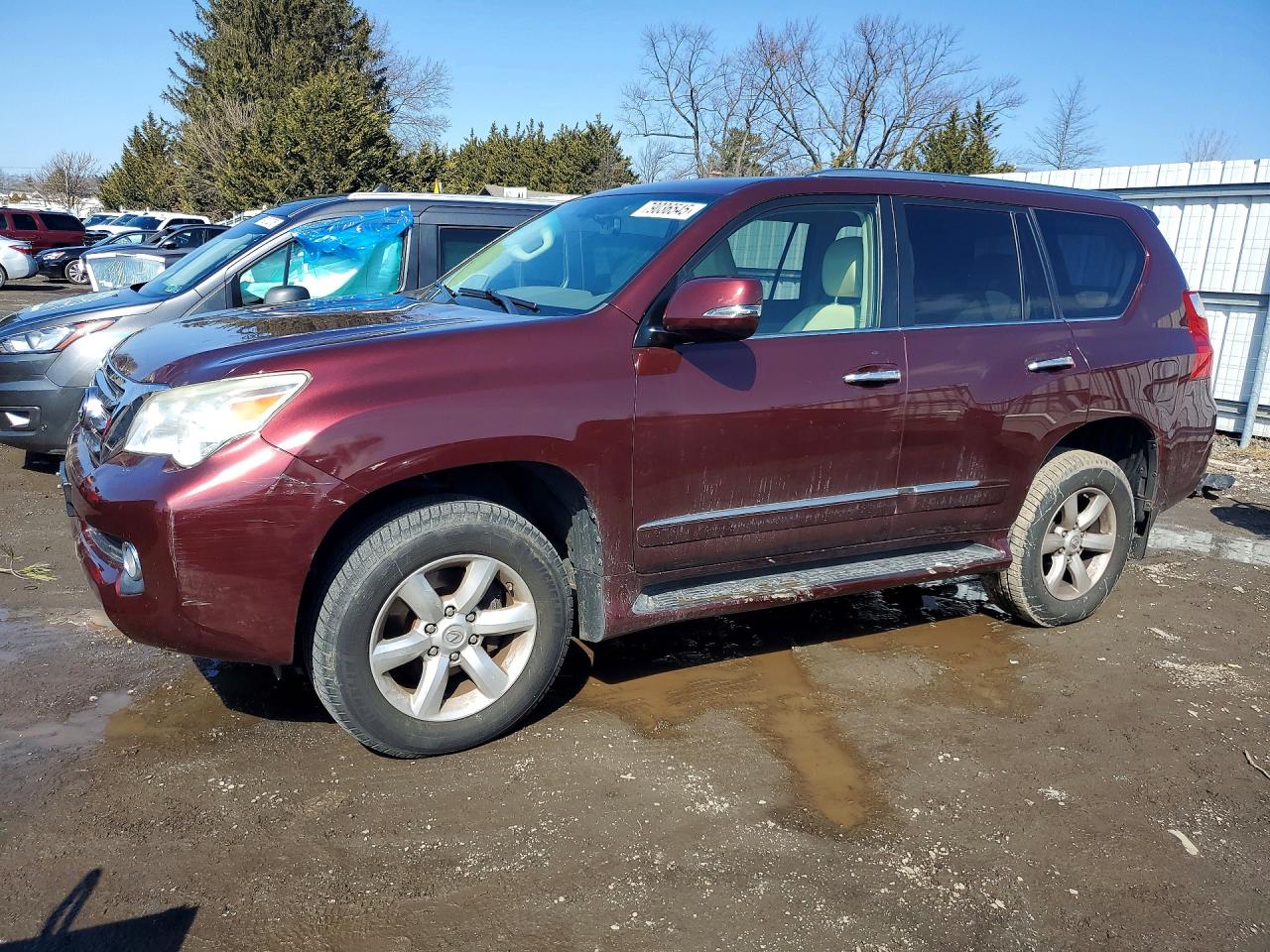 Salvage Lexus Gx Image