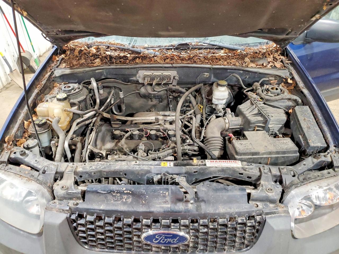 Ford Escape Xls