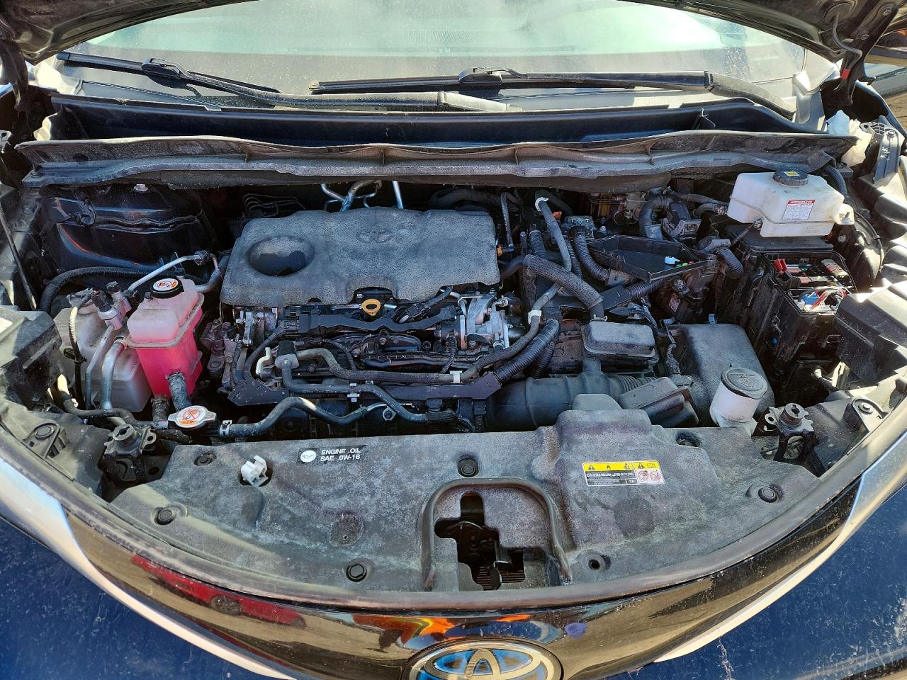Toyota Sienna Limited 7-passenger