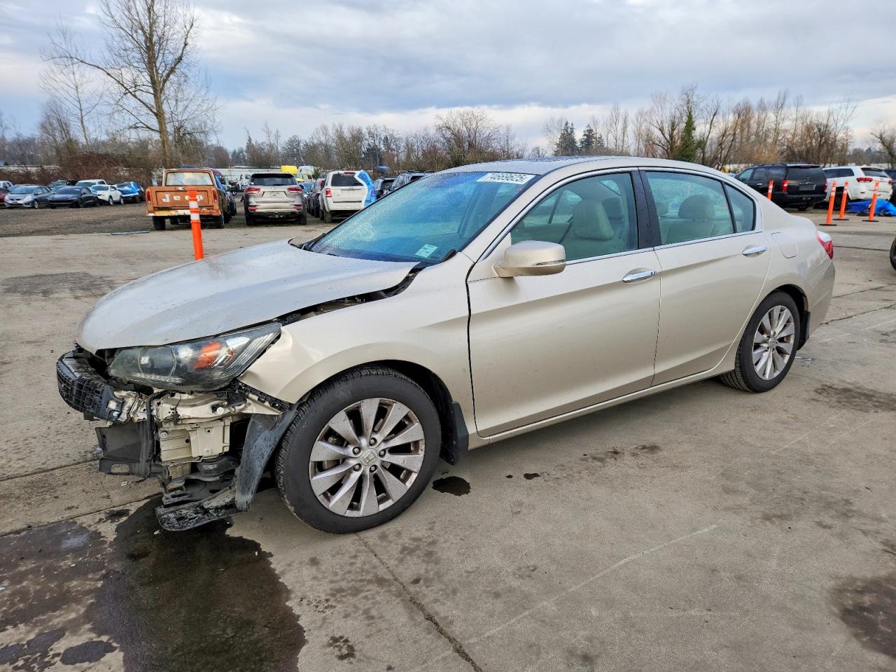 Salvage Honda Accord Image