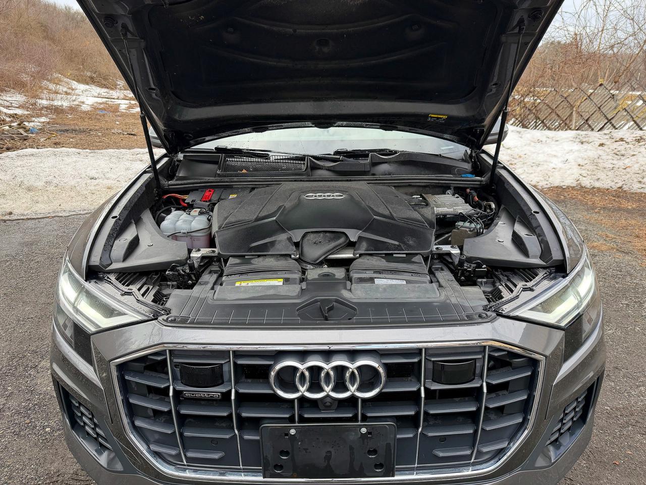 Audi Q8 Premium Plus