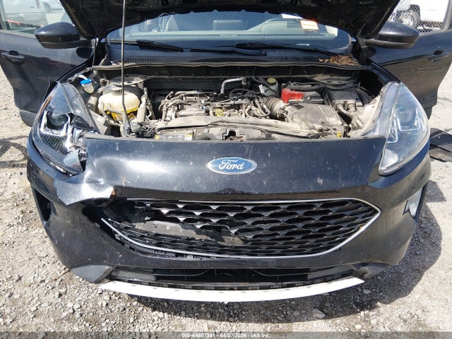Ford Escape Sel