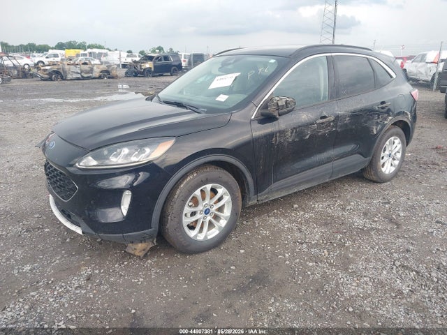 Ford Escape Sel