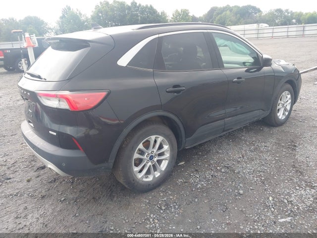 Ford Escape Sel