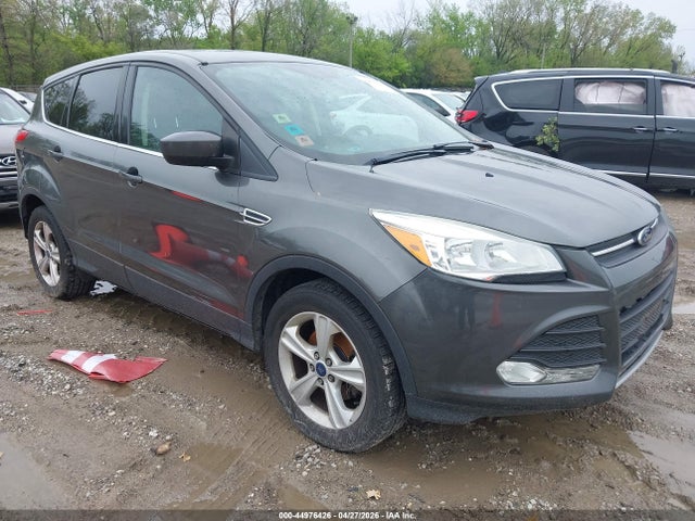 Salvage Ford Escape Image