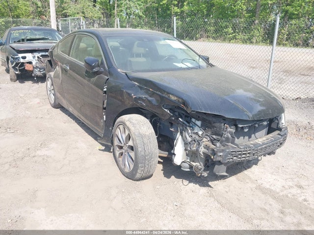 Salvage Honda Accord Image
