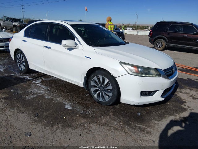 Salvage Honda Accord Image