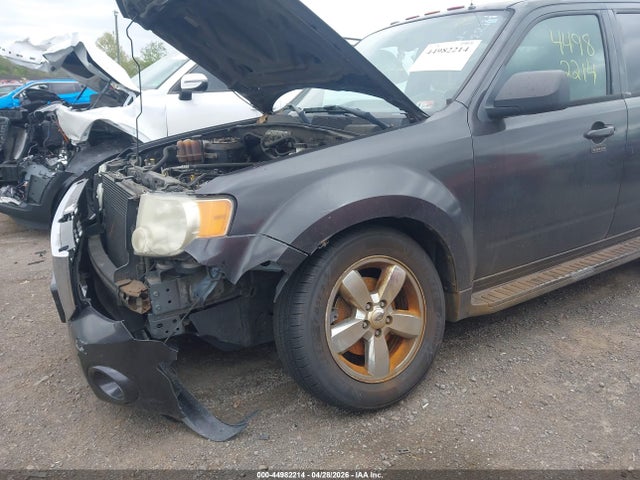 Ford Escape Xlt
