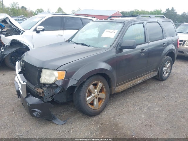 Ford Escape Xlt