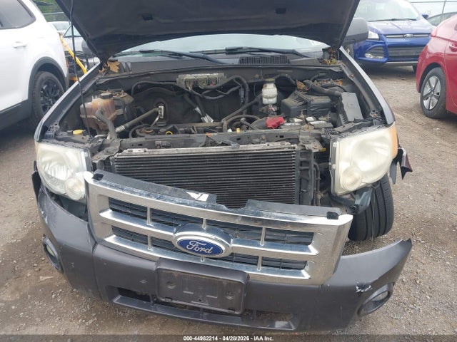 Ford Escape Xlt