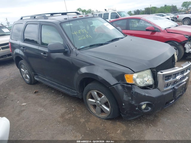Salvage Ford Escape Image