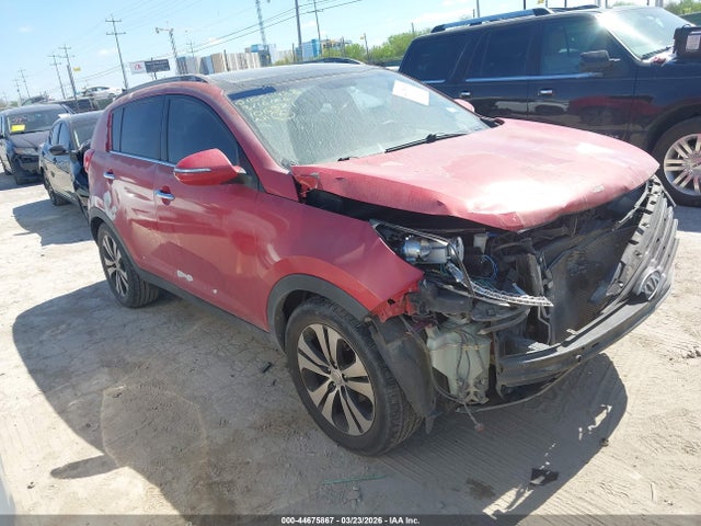 Salvage Kia Sportage Image