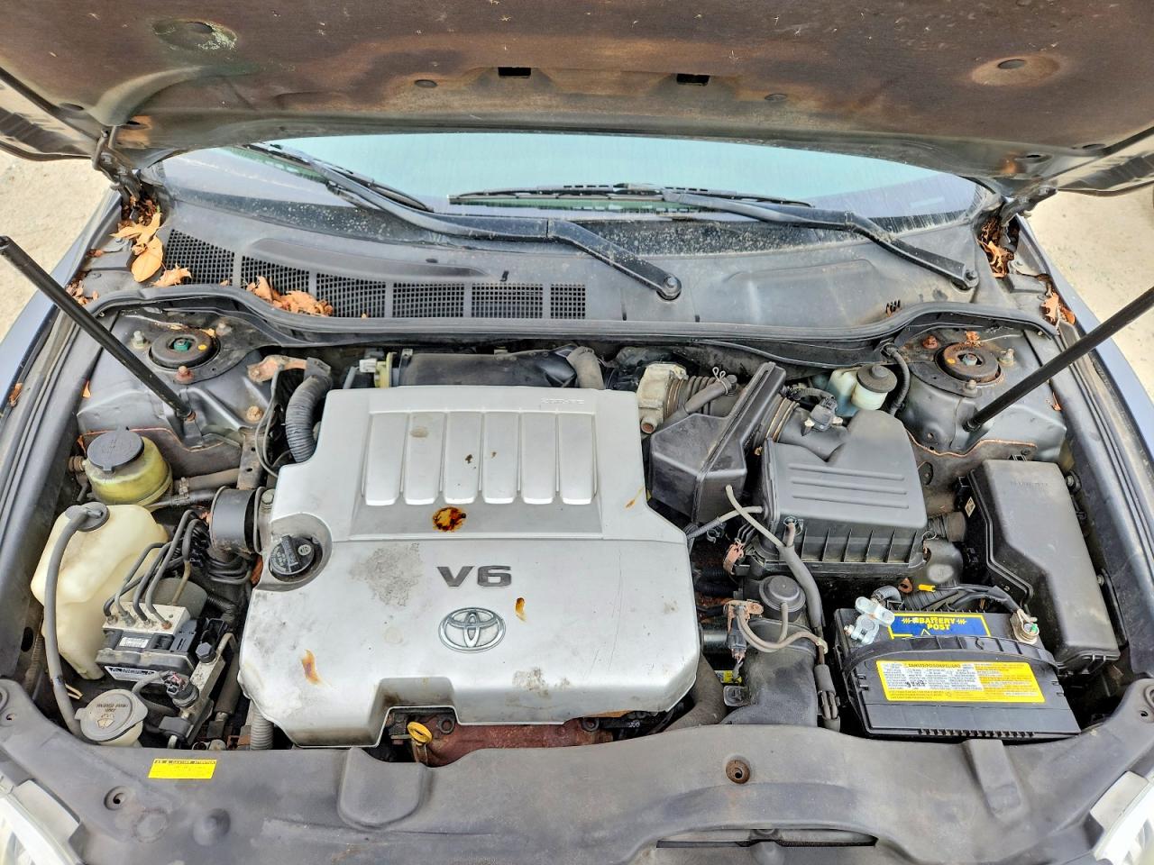 Toyota Camry Xle V6
