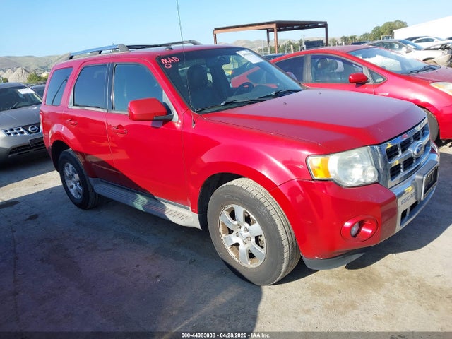 Salvage Ford Escape Image