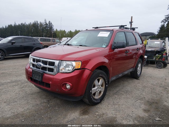 Ford Escape Xlt