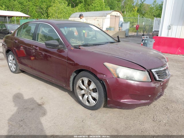 Salvage Honda Accord Image