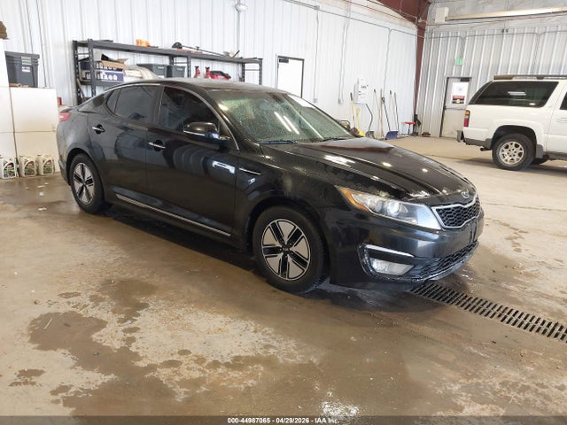 Salvage Kia Optima Image
