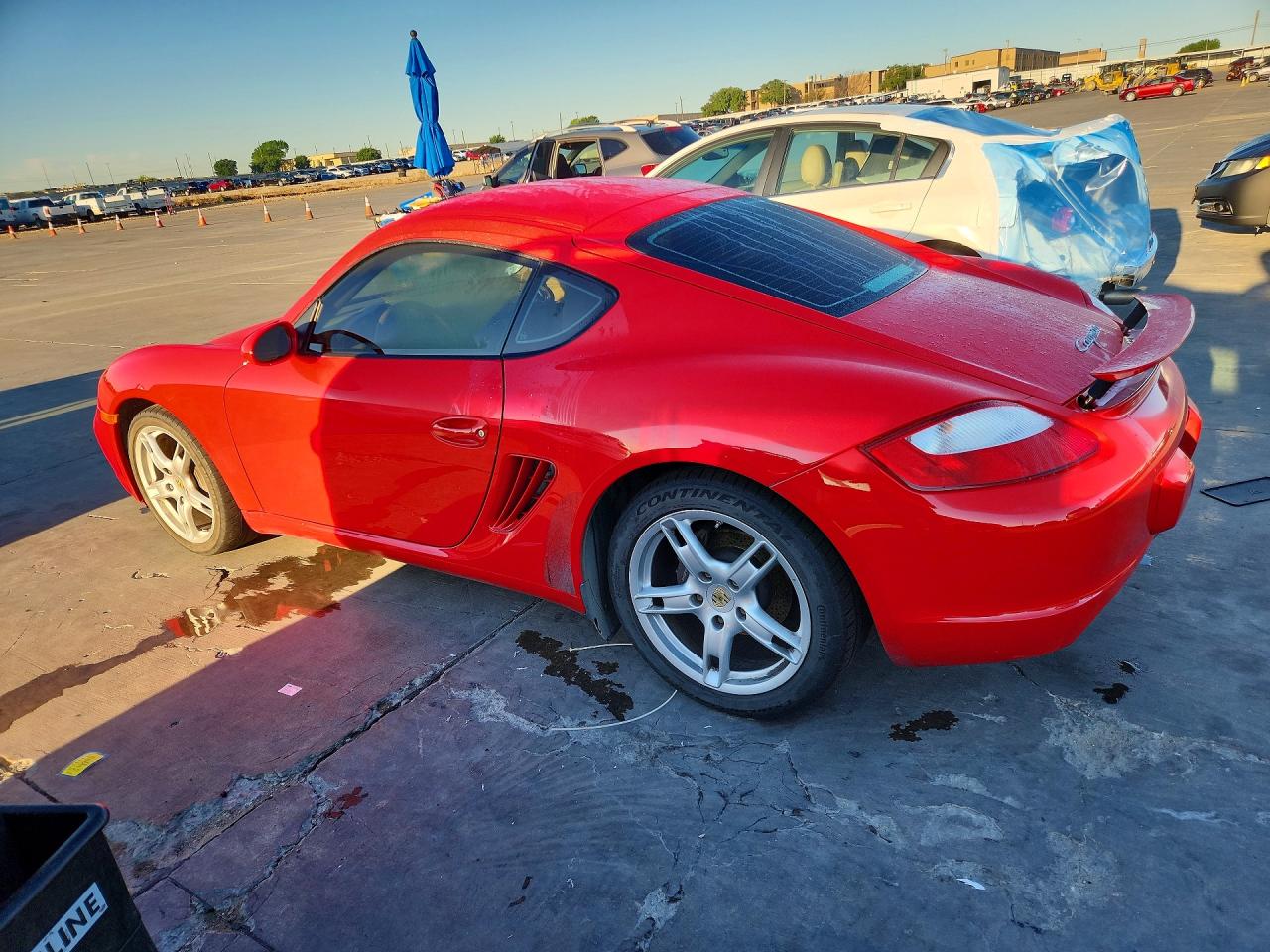 Porsche Cayman