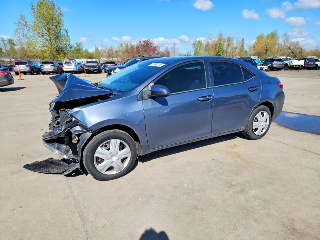 Salvage Toyota Corolla Image
