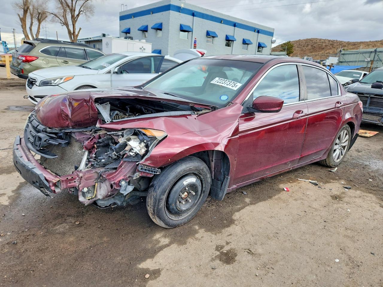 Salvage Honda Accord Image
