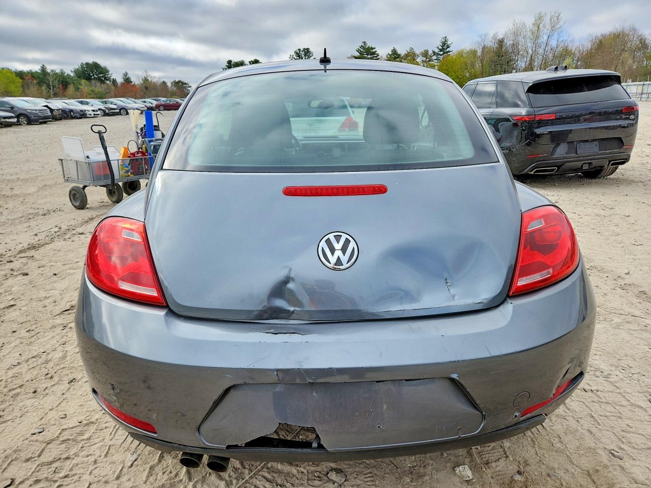 Volkswagen Beetle