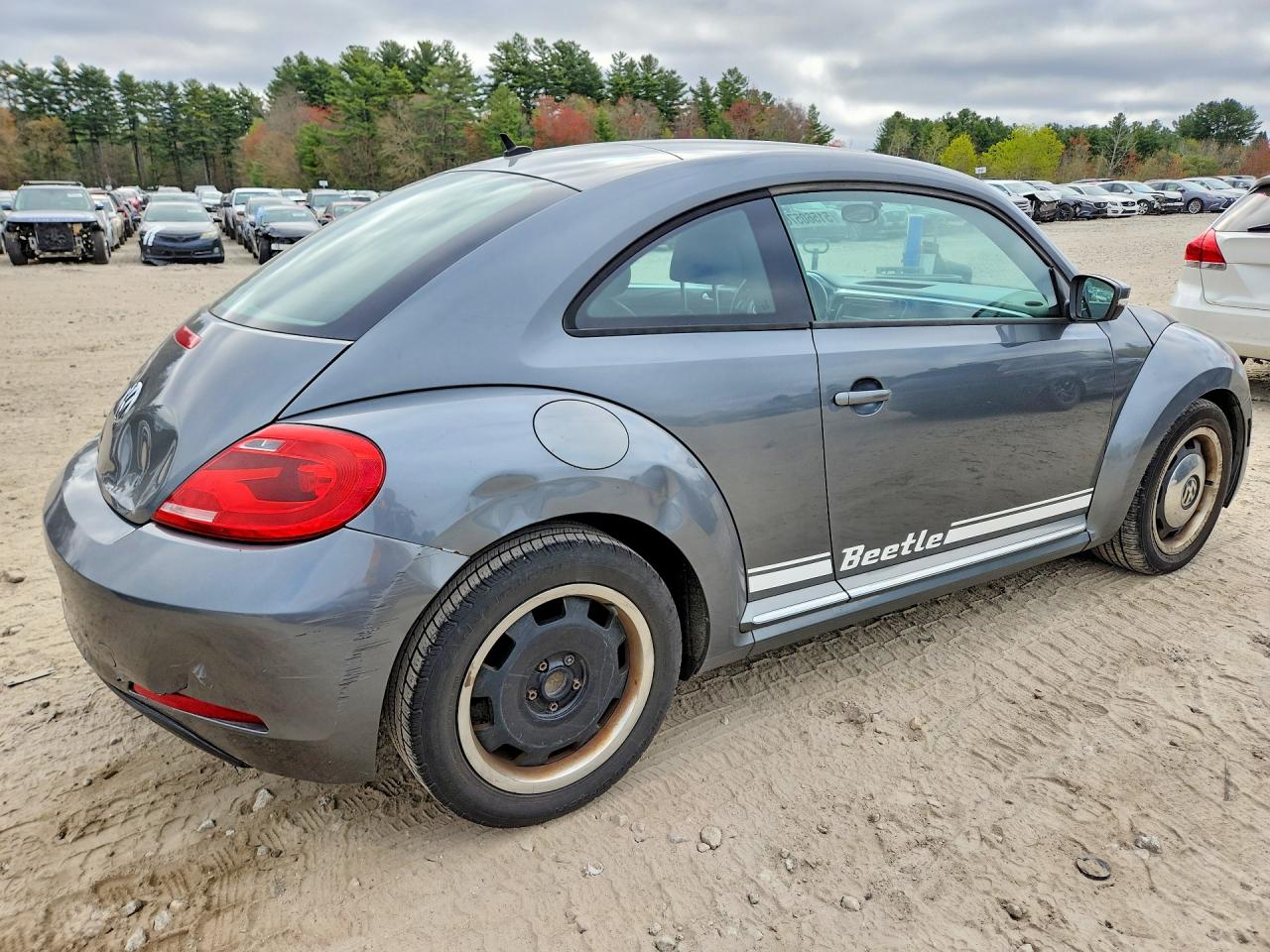 Volkswagen Beetle