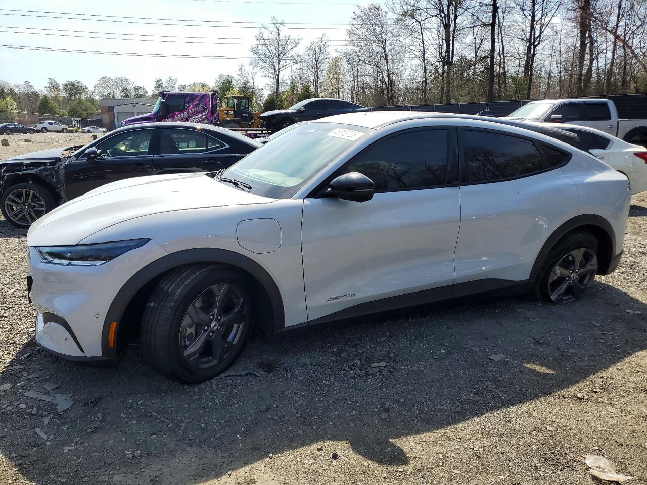 Salvage Ford Mustang Image