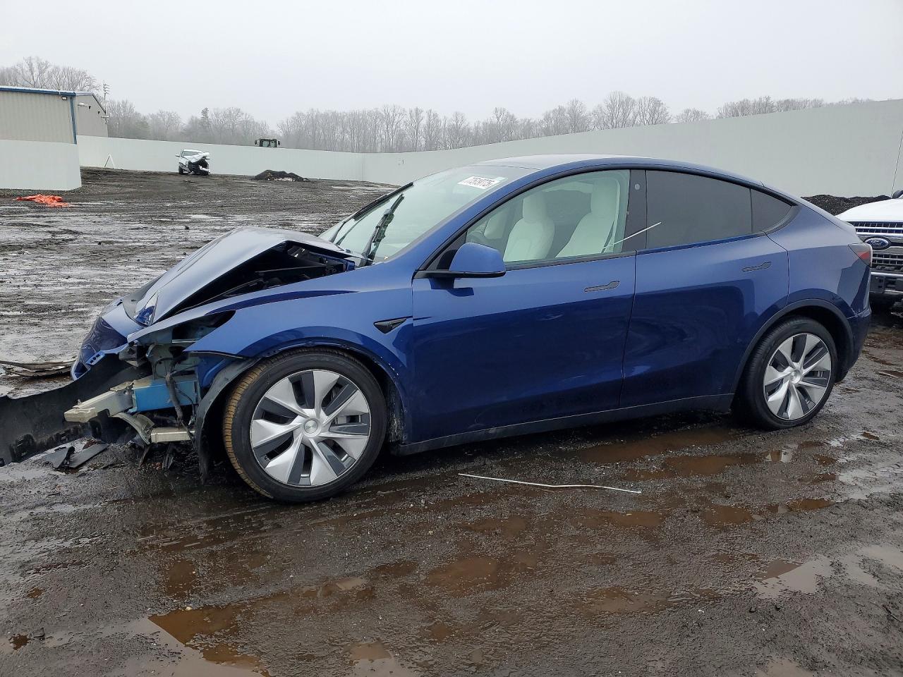 Salvage Tesla Model Y Image