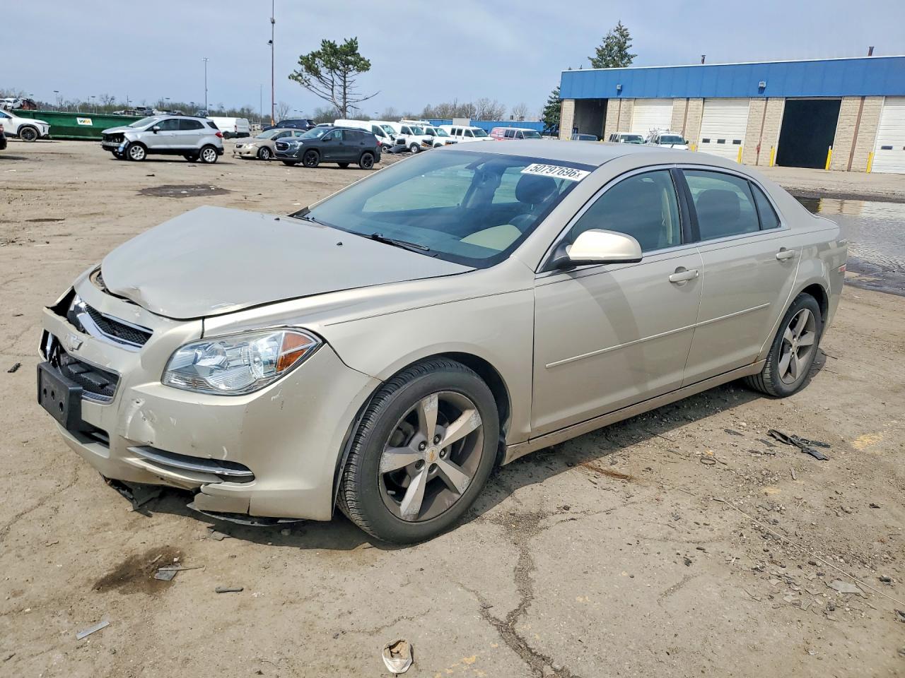 Salvage Chevrolet Malibu Image