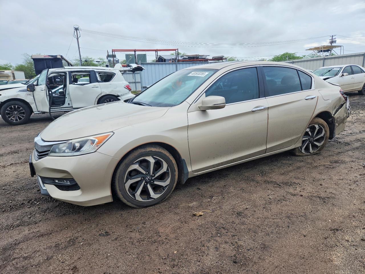 Salvage Honda Accord Image