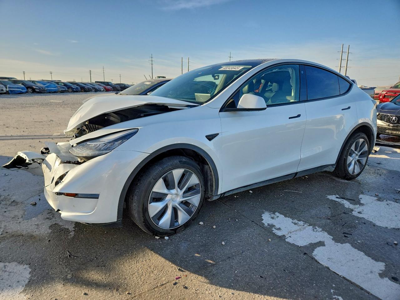 Salvage Tesla Model Y Image