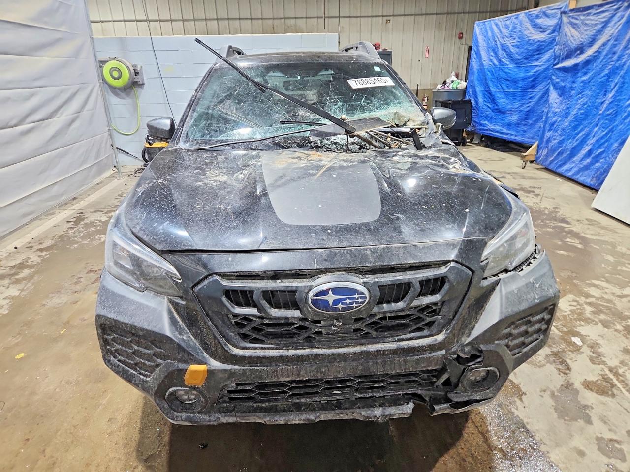 Subaru Outback Wilderness