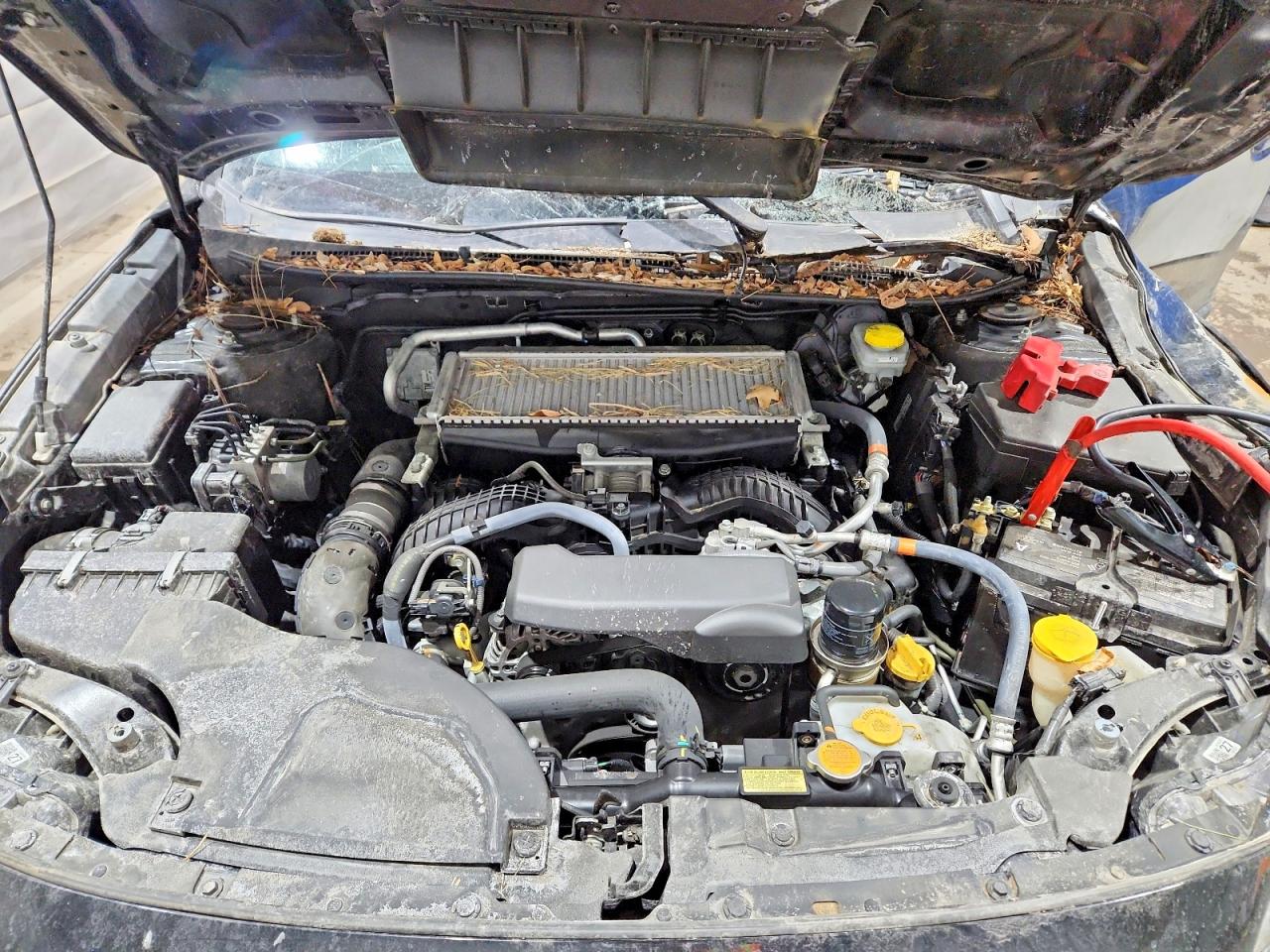 Subaru Outback Wilderness