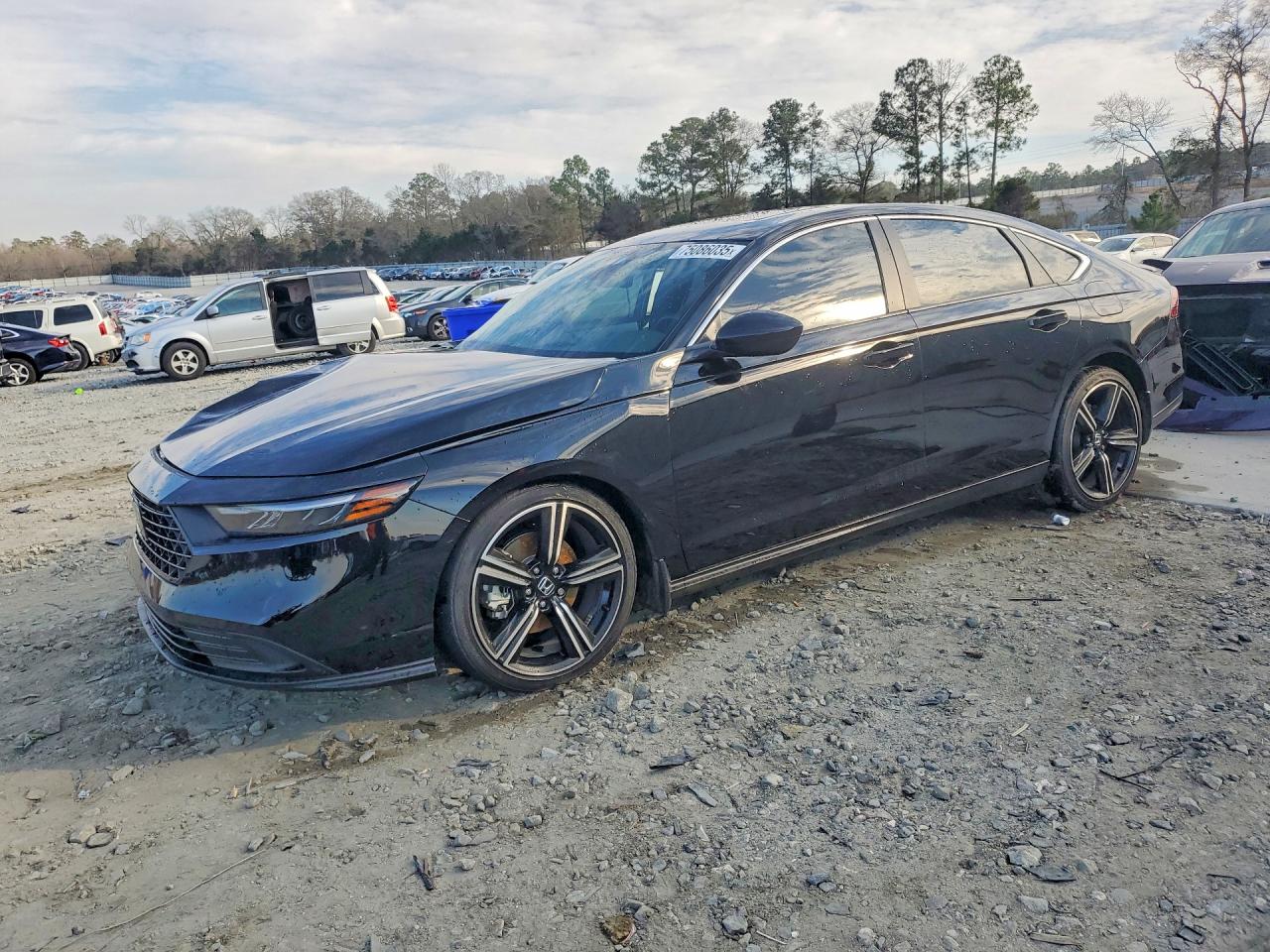 Salvage Honda Accord Image