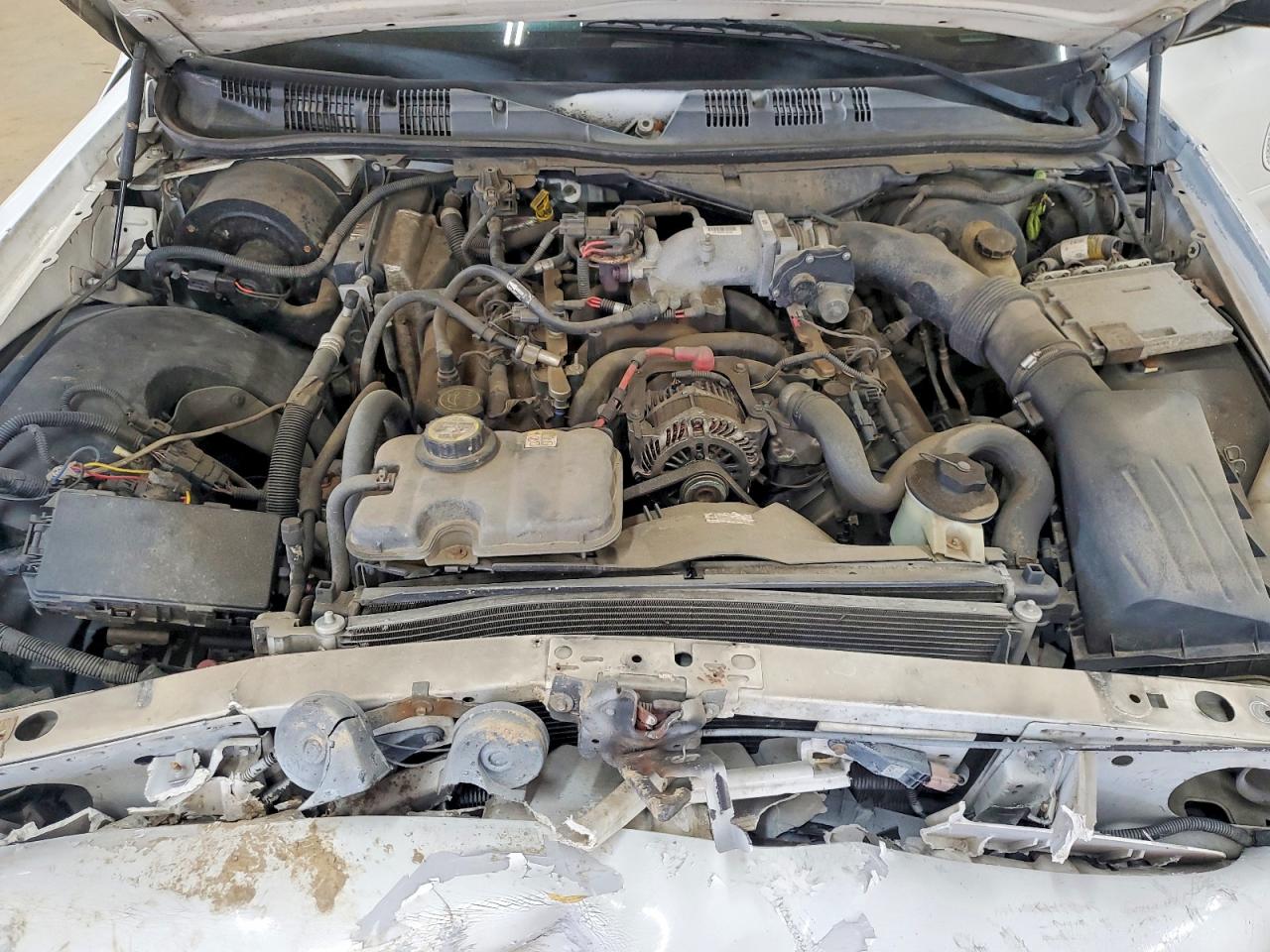 Ford Crown Vic