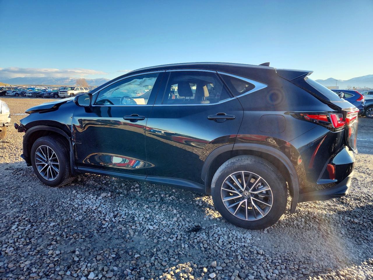 Lexus NX 350h Base