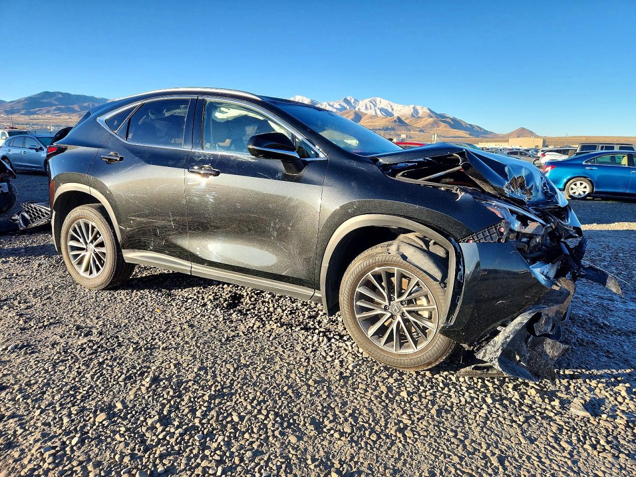 Lexus NX 350h Base