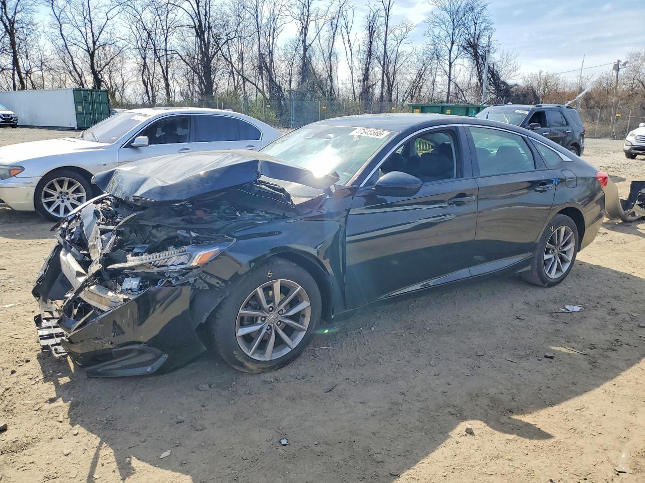 Salvage Honda Accord Image