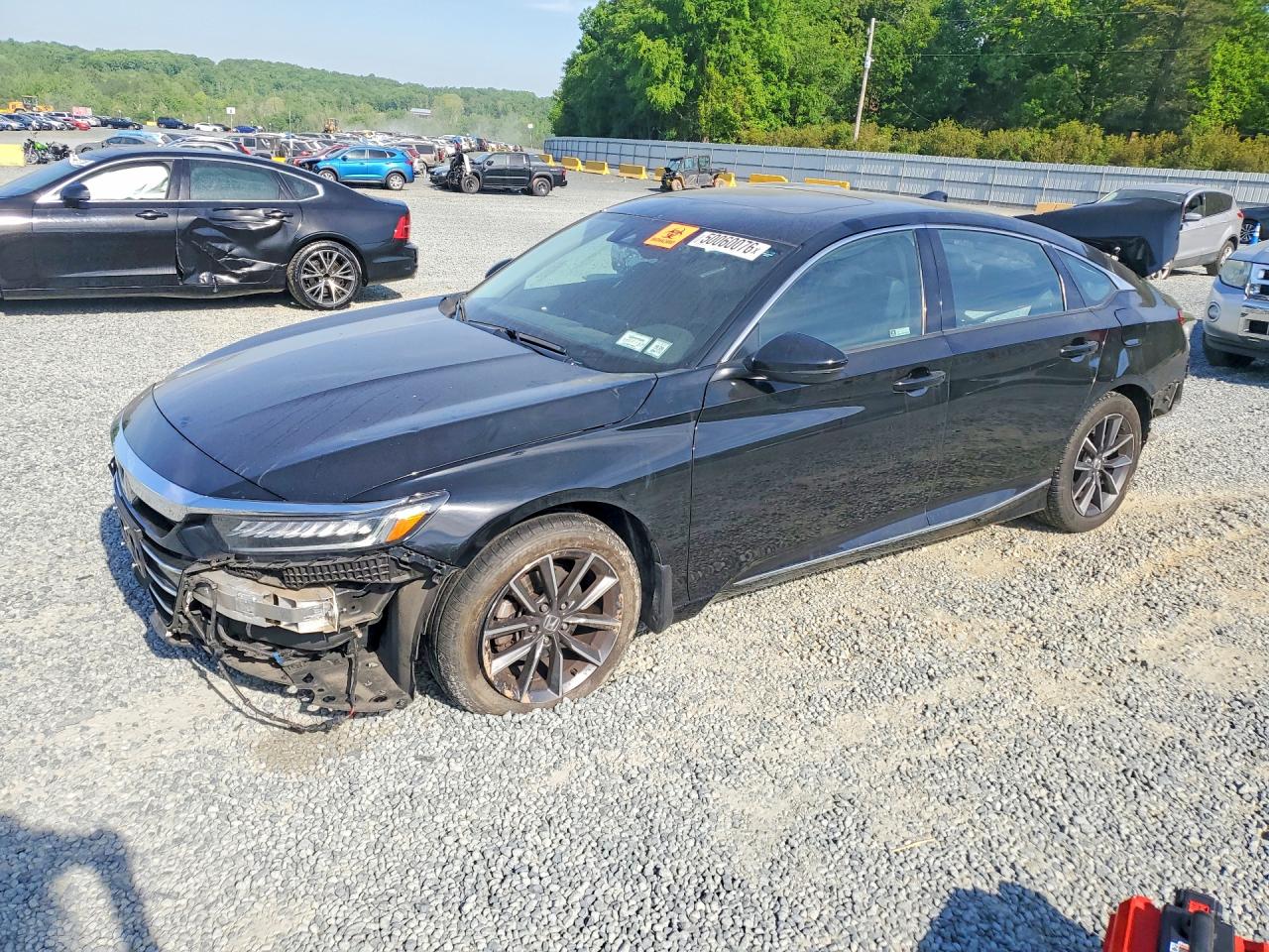 Salvage Honda Accord Image