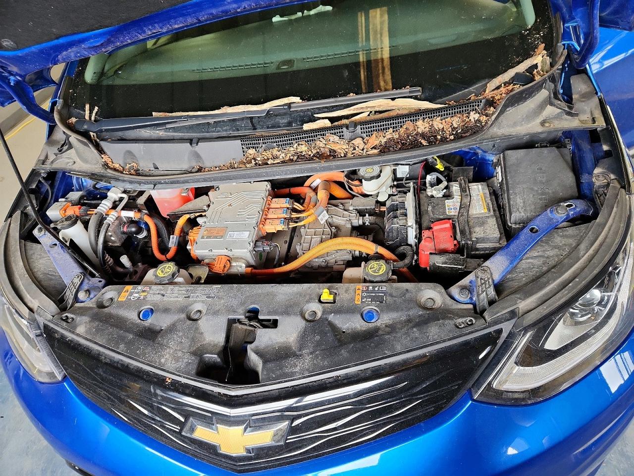 Chevrolet Bolt Premier