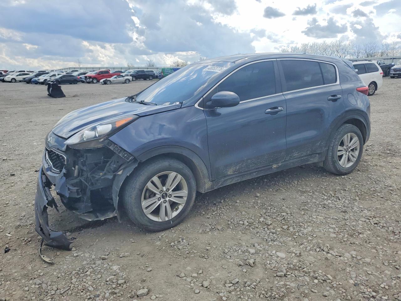 Salvage Kia Sportage Image