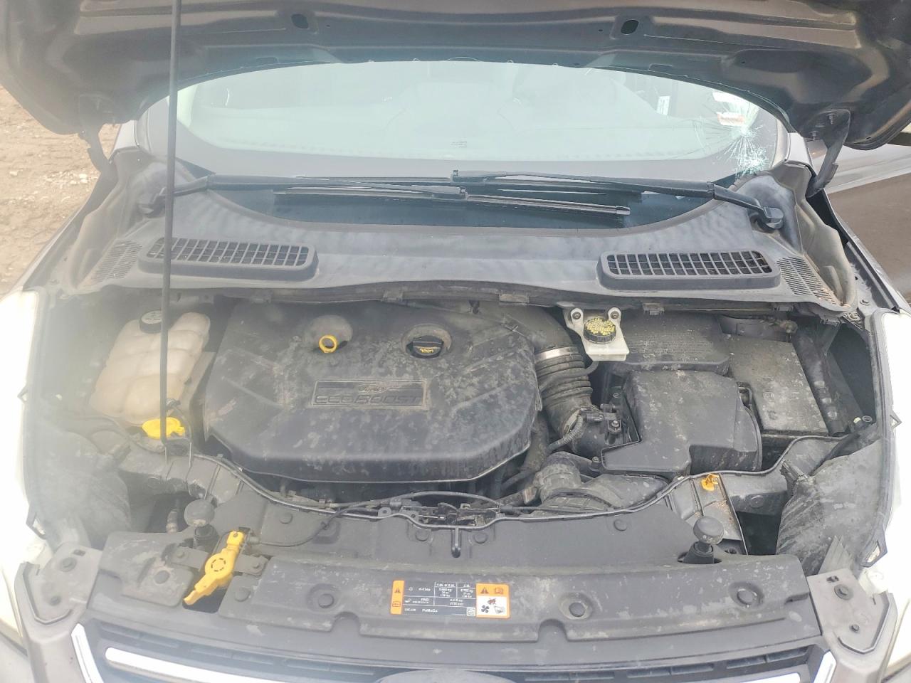 Ford Escape Sel
