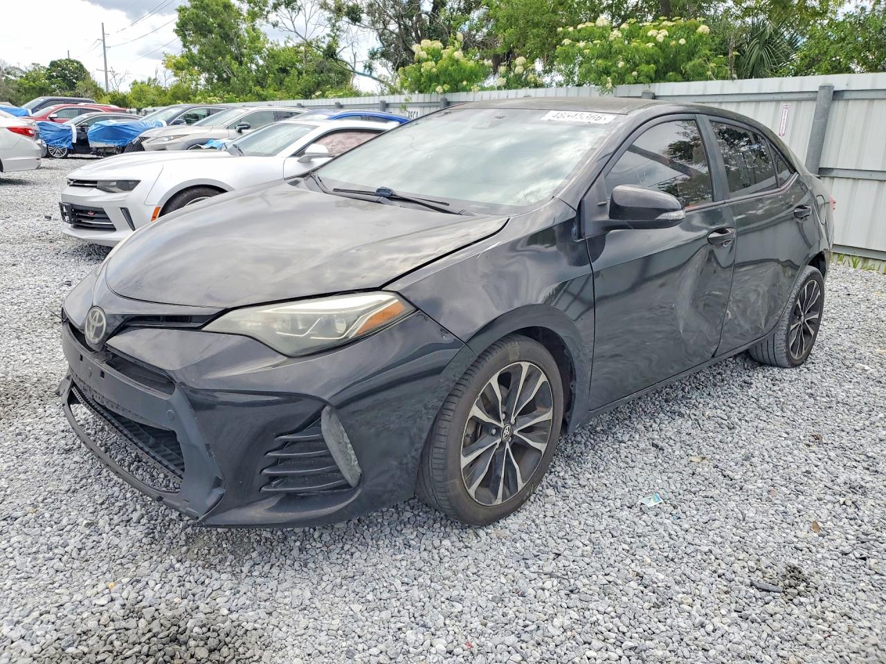Salvage Toyota Corolla Image