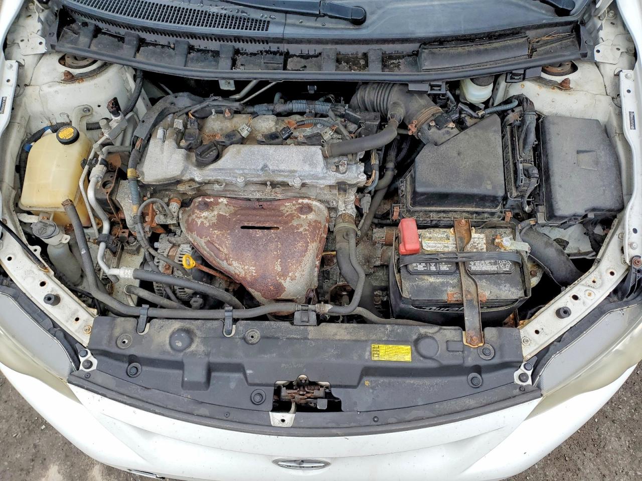 Scion TC Base
