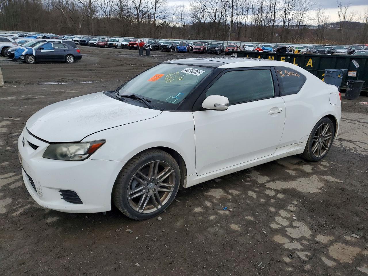 Salvage Scion TC Image